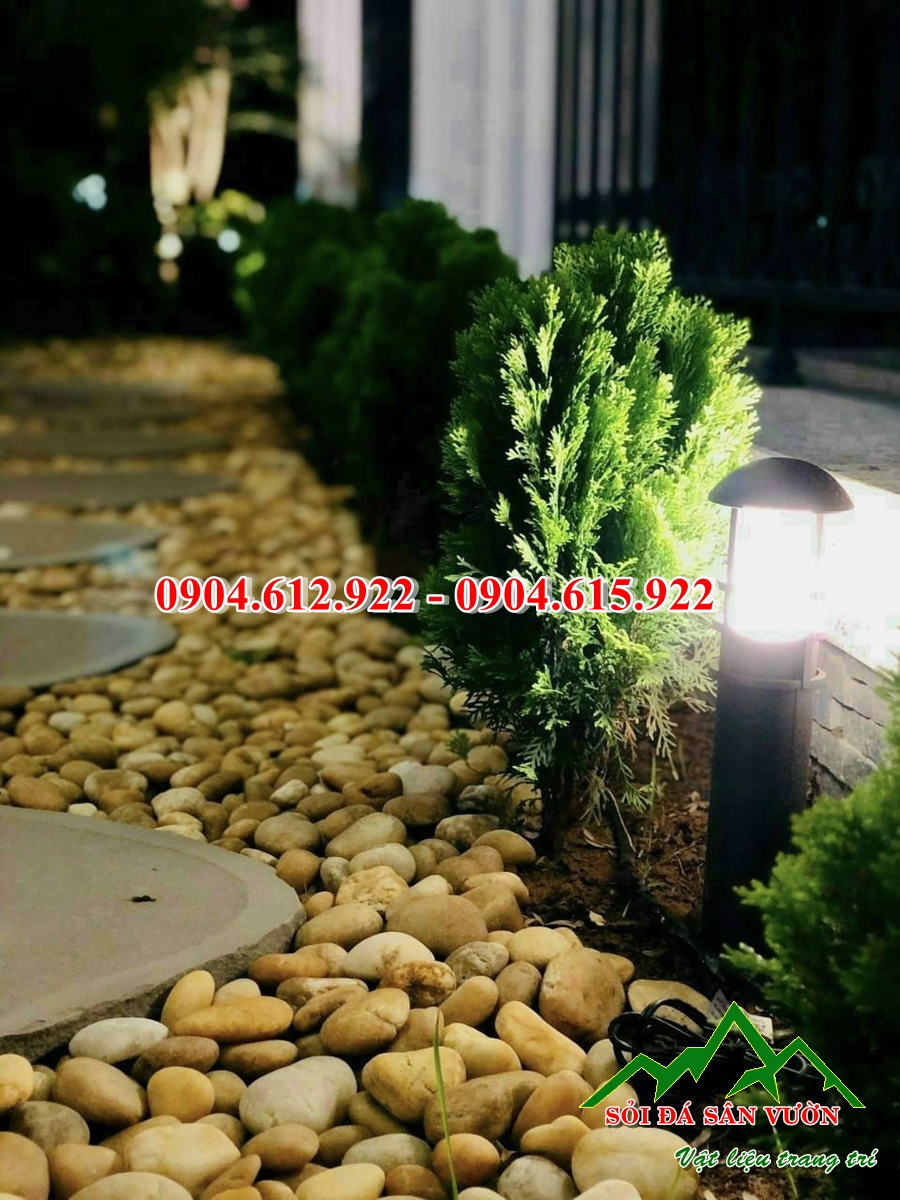 Sỏi cuội vàng tự nhiên rải sân vườn