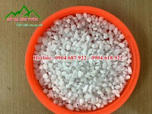 kho sỏi trắng muối tại hà nội