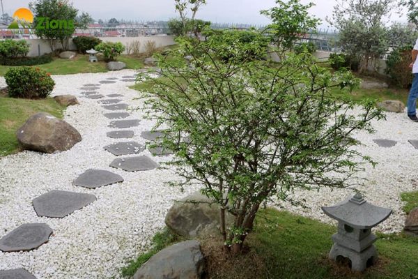 da-buoc-dao-nha-vuon