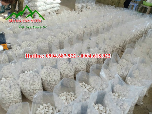 bán sỏi trắng trang trí