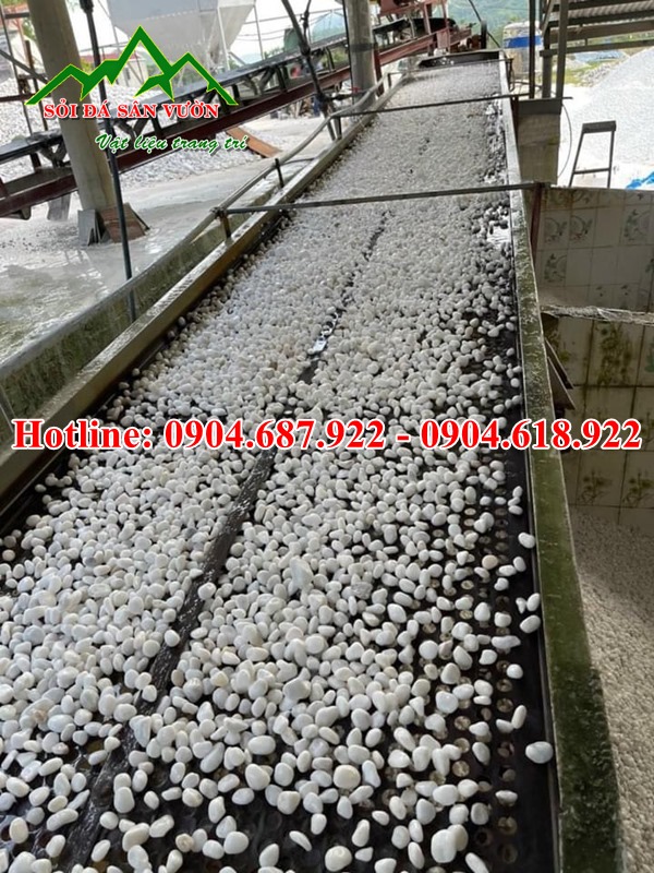 sản xuất sỏi trắng trang trí