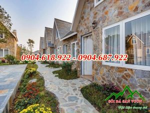 cac-mau-da-roi-op-tuong-dep-doc-la (1)