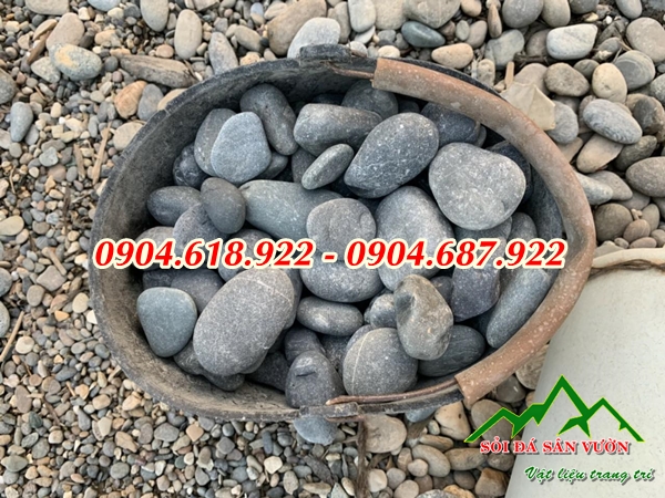 Soi-trang-tri-san-vuon (5)