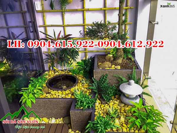 soi-mau-vang-tu-nhien