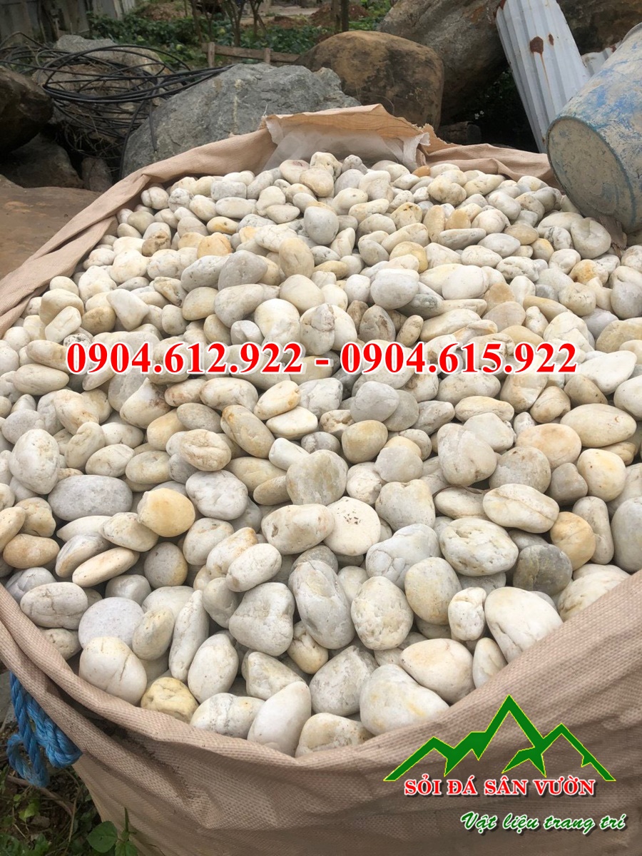 sỏi trắng tự nhiên trang trí sân vườn