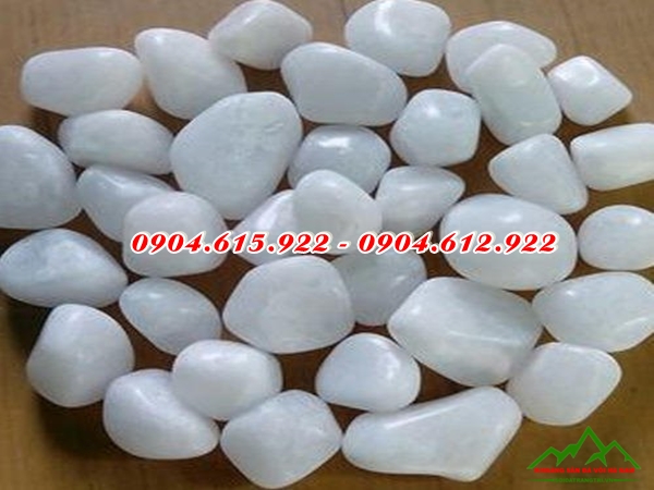 tong-kho-soi-trang-tri