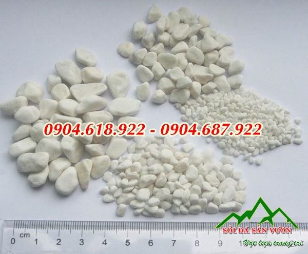 Soi-trang-tri-san-vuon (1)