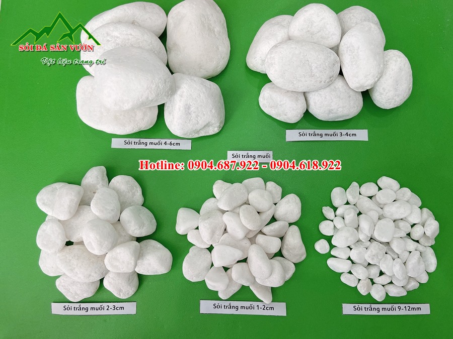sỏi trắng muối tại hạ long