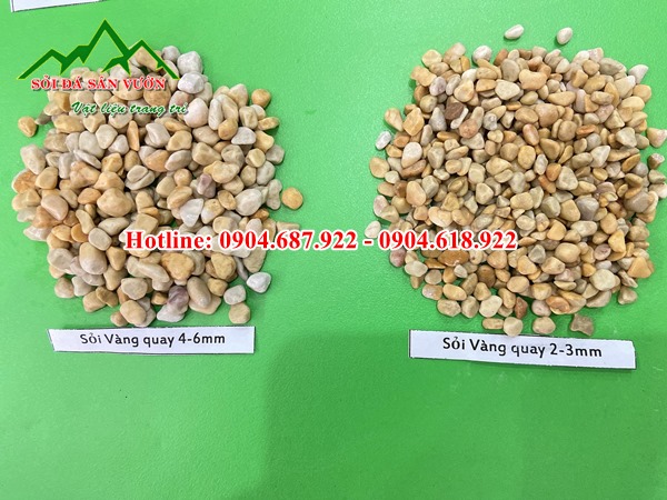 cung cấp sỏi vàng mini