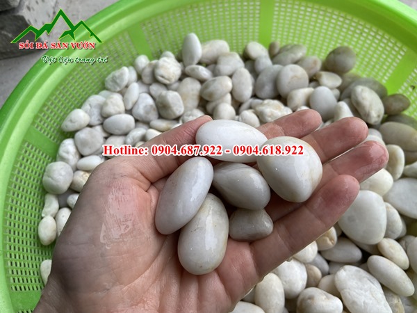 cung cấp sỏi cuội trắng gắn tường