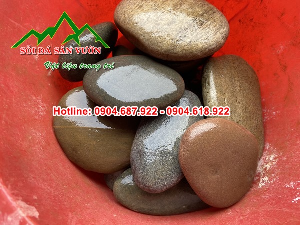 sỏi dẹp gắn tường