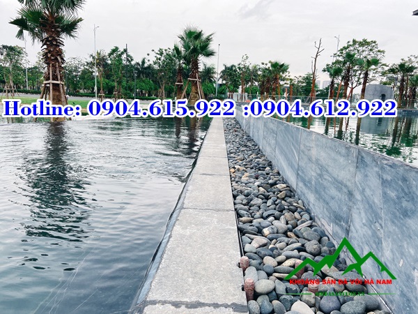 da-soc-dua-op-lat-be-boi