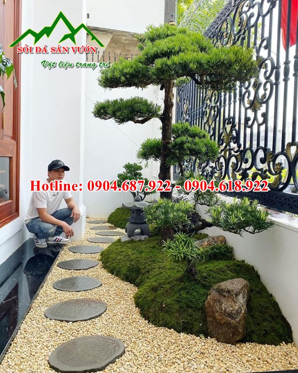 sỏi vàng trang trí tiểu cảnh