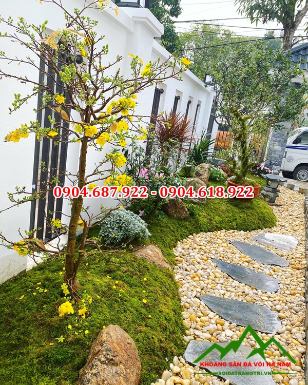 sỏi vàng rải trang trí cảnh quan