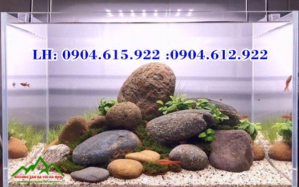 soi-da-cuoi-trang-tri-san-vuon