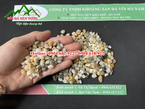 Bán sỏi biển nhỏ