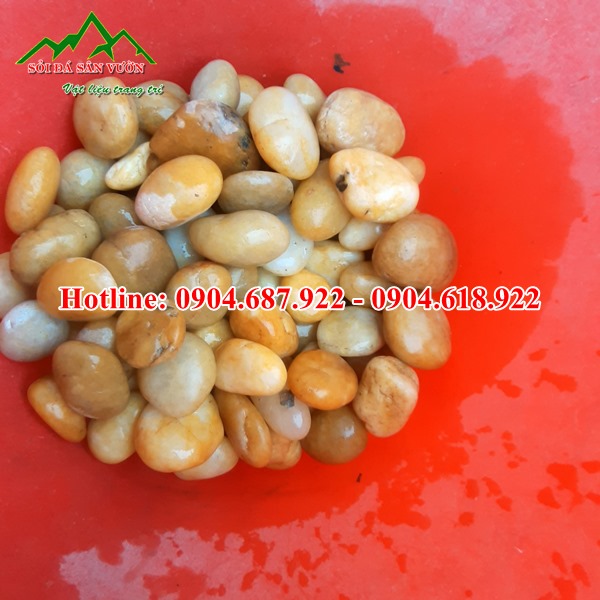sỏi cuội vàng trang trí