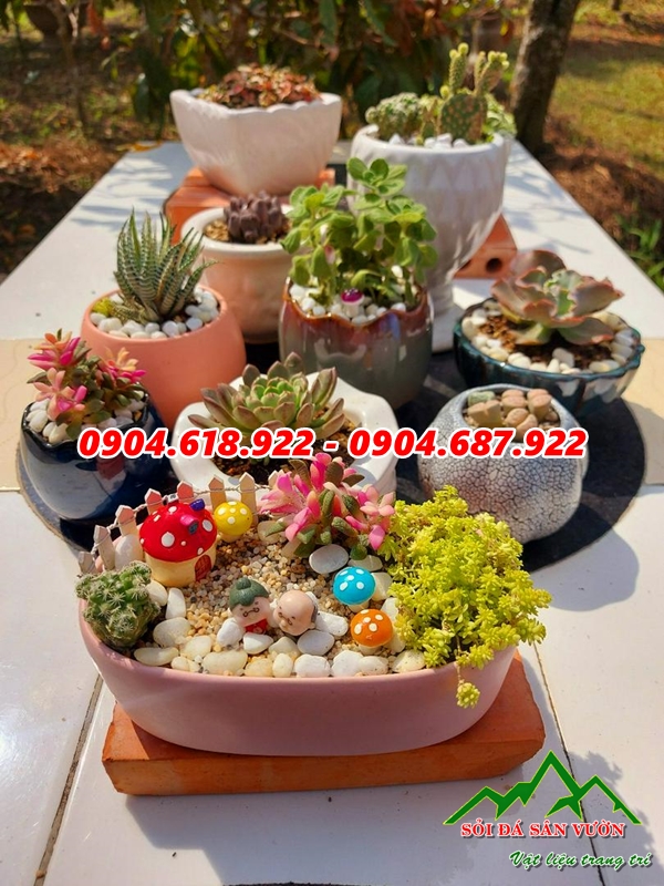 nhung-ly-do-ban-nen-rai-soi-chau-cay (5)