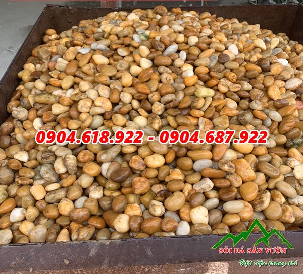 tong-quan-ve-cuoi-vang-tu-nhien-trang-tri-san-vuon (3)