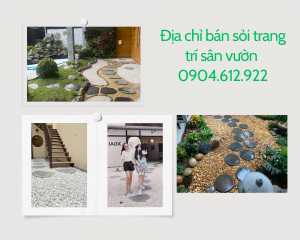 mua sỏi trang trí sân vườn ở đâu