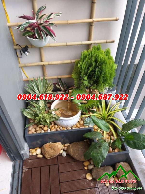 nhung-ly-do-ban-nen-rai-soi-chau-cay (4)