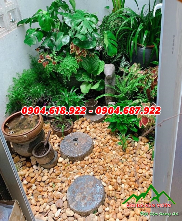 nhung-ly-do-ban-nen-rai-soi-chau-cay (3)