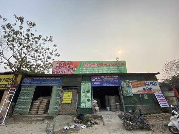 nhung-ly-do-ban-nen-rai-soi-chau-cay (7)