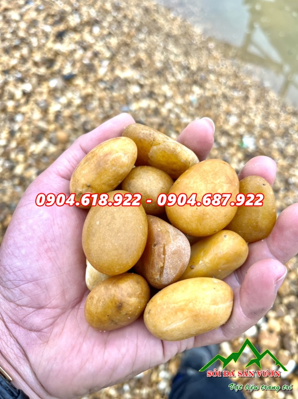 tong-quan-ve-cuoi-vang-tu-nhien-trang-tri-san-vuon (2)