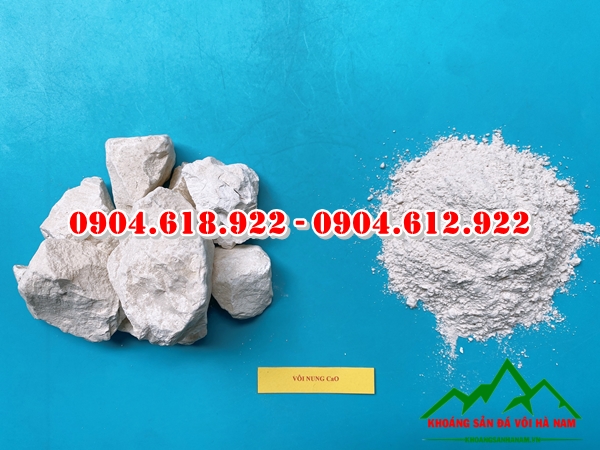 dia-chi-ban-voi-cuc-gia-re-tai-ha-noi (5)