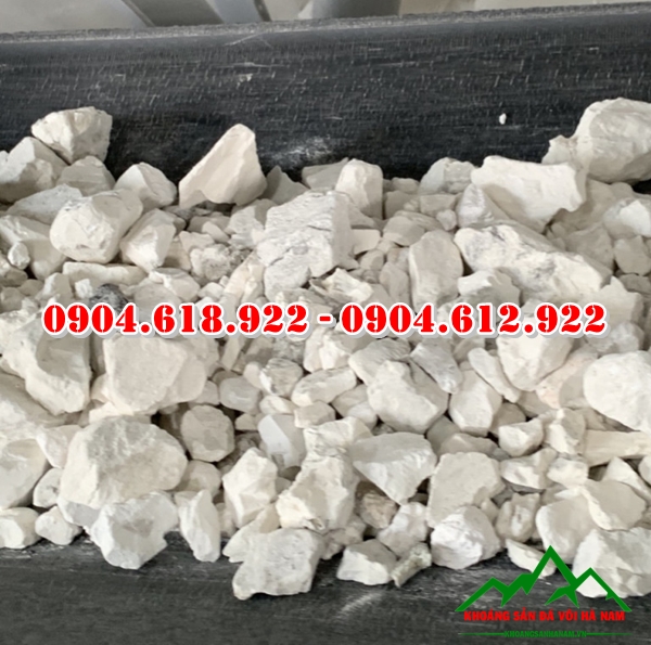 dia-chi-ban-voi-cuc-gia-re-tai-ha-noi (2)