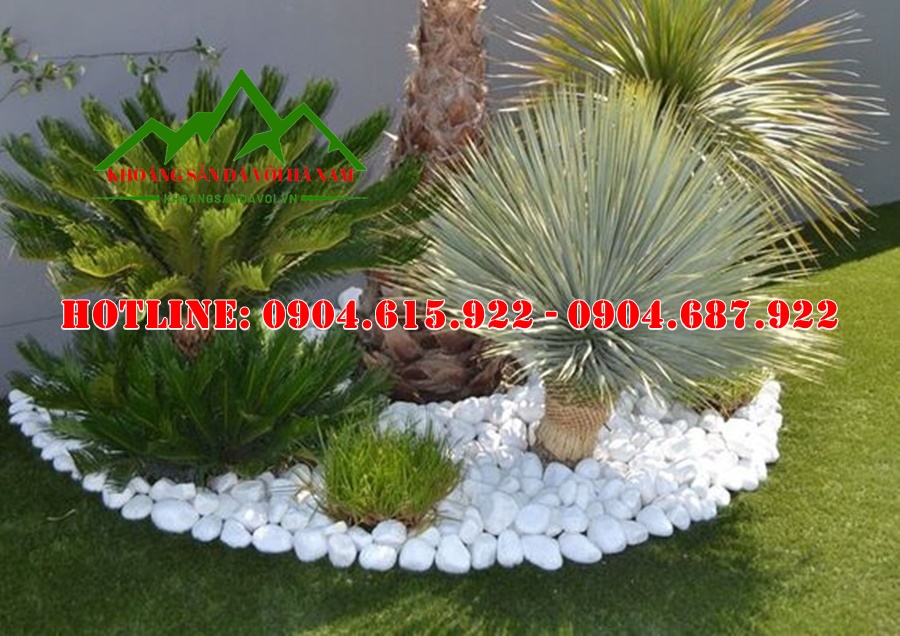 san-xuat-soi-trang-quay