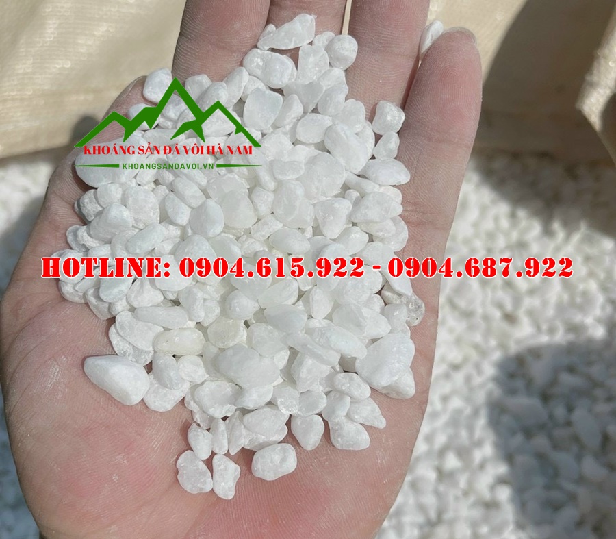 san-xuat-soi-trang-quay