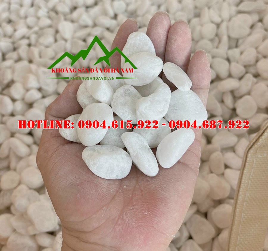 san-xuat-soi-trang-quay