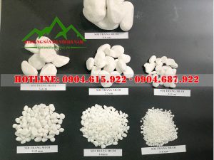 san-xuat-soi-trang-quay