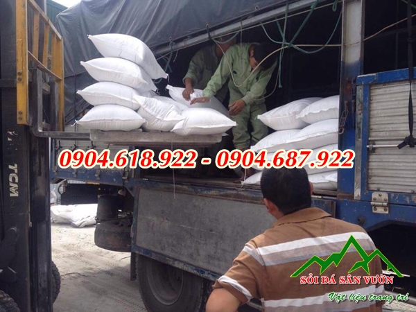 cat-trang-nguon-goc-ro-rang-khong-gay-kich-ung-da (4)