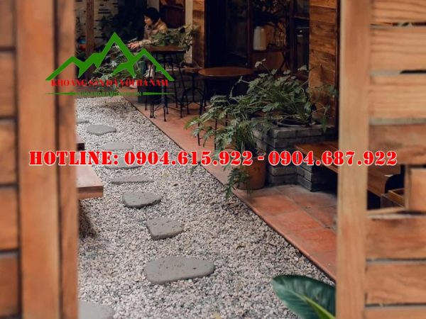 soi-tu-nhien-trang-tri