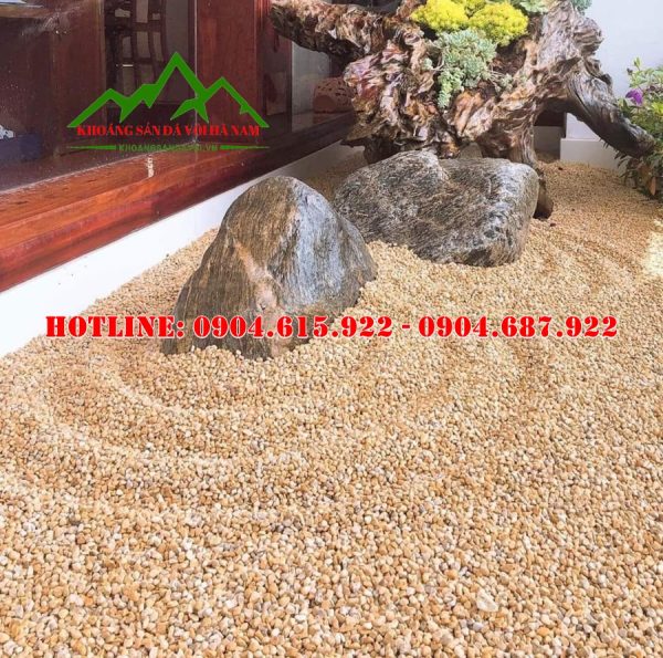 soi-tu-nhien-trang-tri