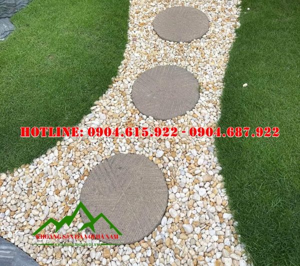 soi-tu-nhien-trang-tri