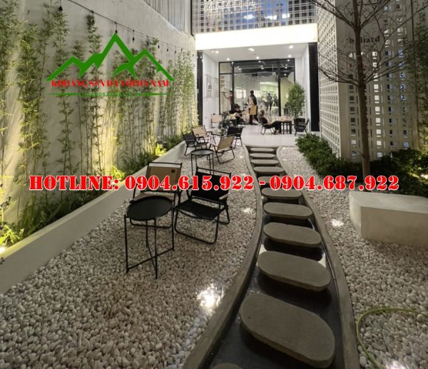 soi-tu-nhien-trang-tri