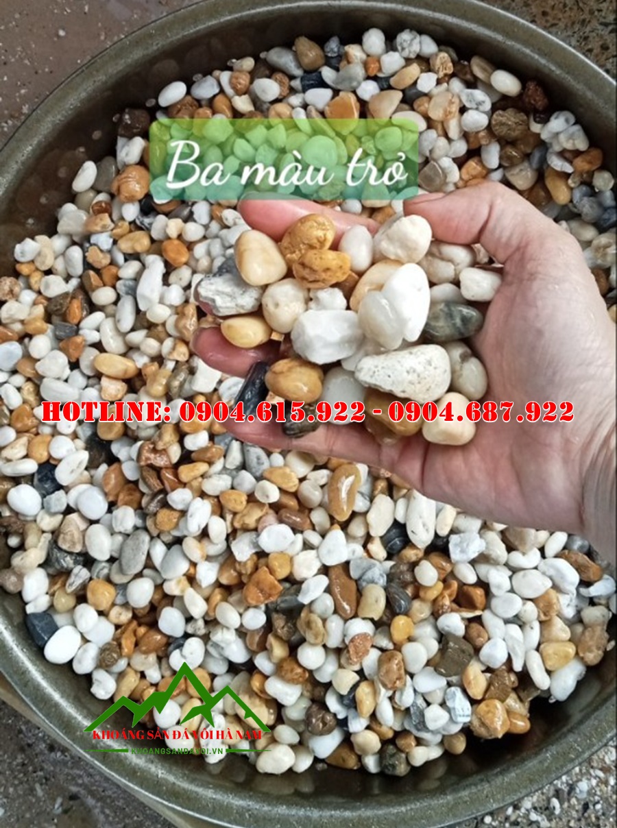 tong-kho-soi-trang-tri-tphcm