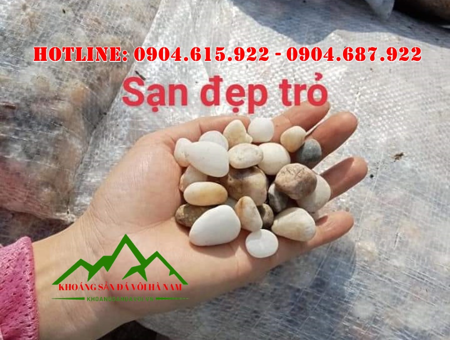 tong-kho-soi-trang-tri-tphcm