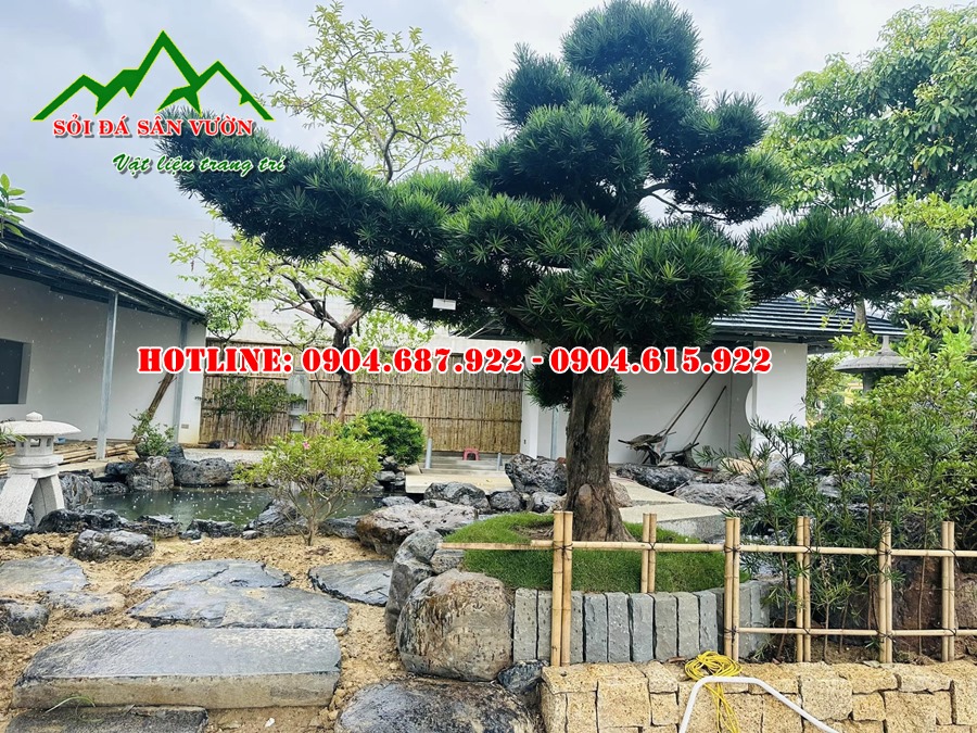 Tìm mua đá cuội vân mây