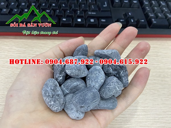 bán sỏi đen trang trí