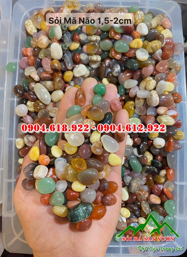 soi-ma-nao-da-sac-mang-y-nghia-phong-thuy (3)