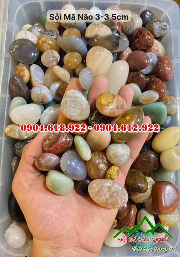 soi-ma-nao-da-sac-mang-y-nghia-phong-thuy (5)