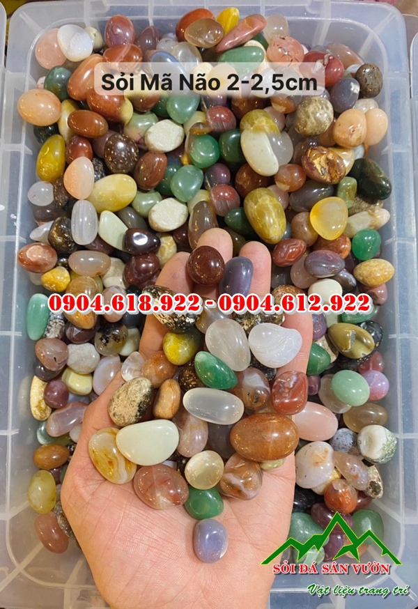 soi-ma-nao-da-sac-mang-y-nghia-phong-thuy (4)