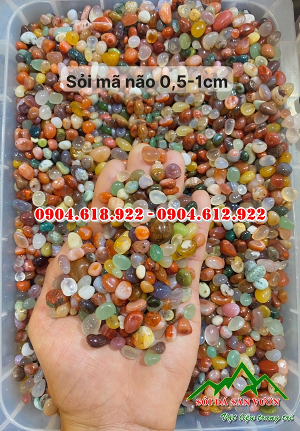 soi-ma-nao-da-sac-mang-y-nghia-phong-thuy (2)