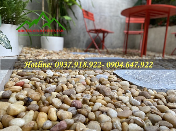 Thiết kế sân vườn đẹp bằng sỏi vàng