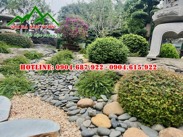 sỏi đen trang trí tiểu cảnh
