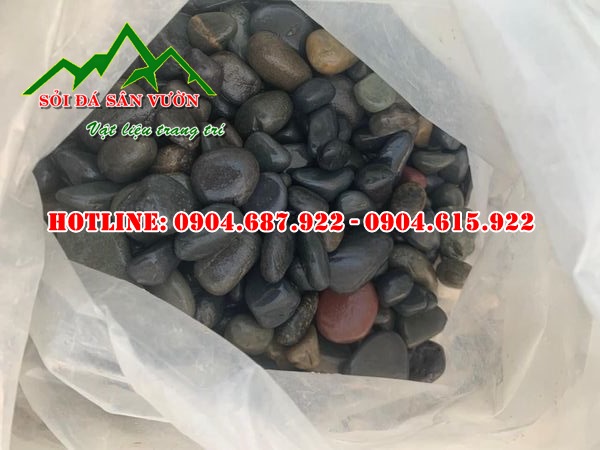 bán sỏi trang trí màu đen